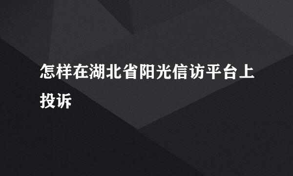 怎样在湖北省阳光信访平台上投诉