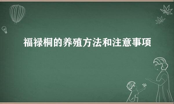 福禄桐的养殖方法和注意事项