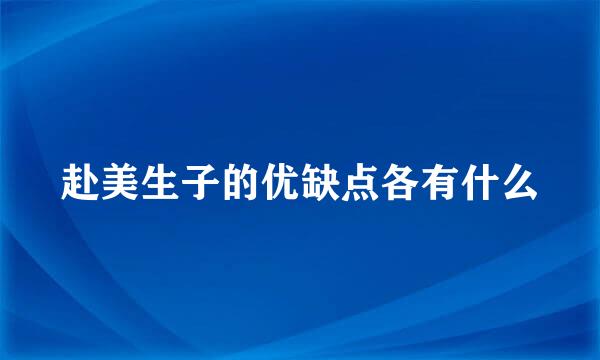 赴美生子的优缺点各有什么