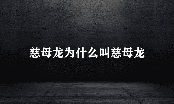 慈母龙为什么叫慈母龙