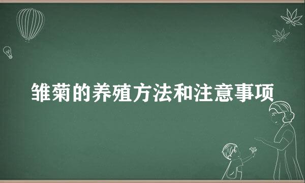 雏菊的养殖方法和注意事项