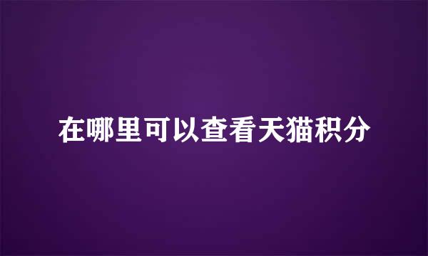 在哪里可以查看天猫积分