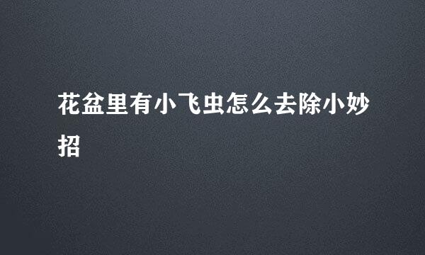 花盆里有小飞虫怎么去除小妙招