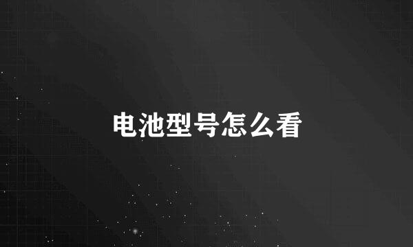 电池型号怎么看