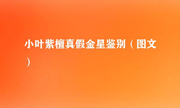 小叶紫檀真假金星鉴别（图文）