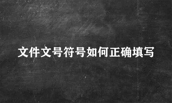 文件文号符号如何正确填写