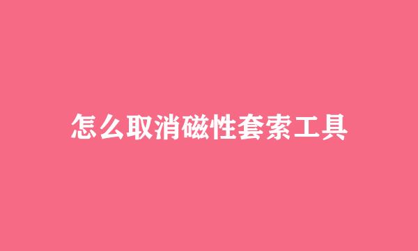 怎么取消磁性套索工具