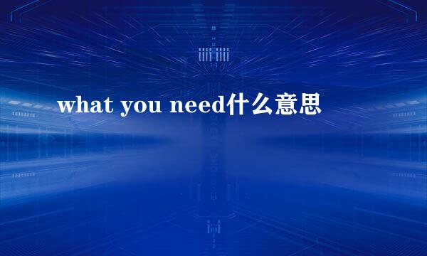 what you need什么意思