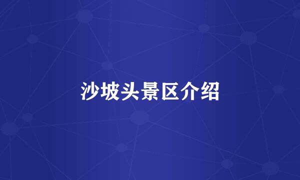 沙坡头景区介绍