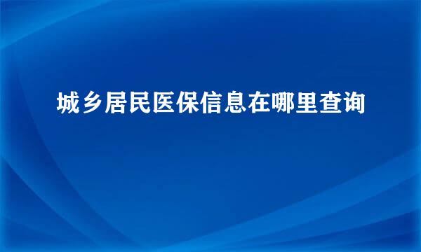 城乡居民医保信息在哪里查询