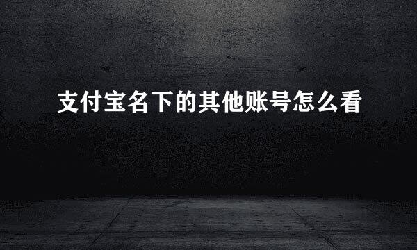 支付宝名下的其他账号怎么看