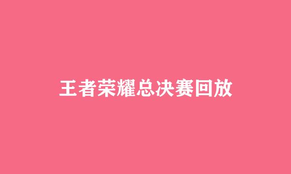 王者荣耀总决赛回放