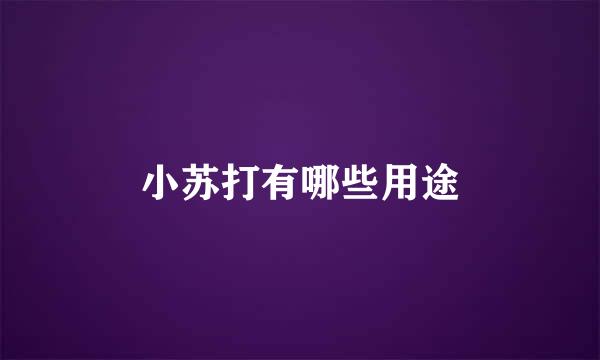 小苏打有哪些用途