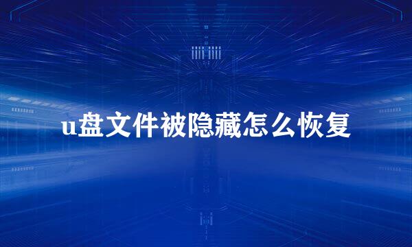 u盘文件被隐藏怎么恢复