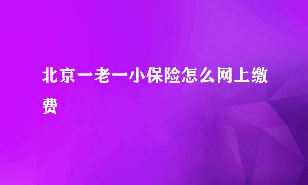 北京一老一小保险怎么网上缴费