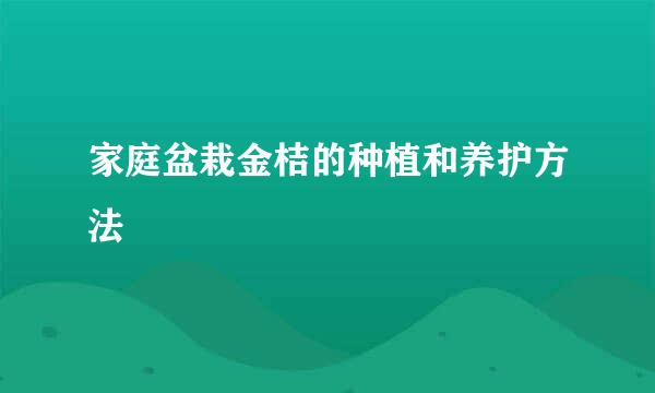 家庭盆栽金桔的种植和养护方法