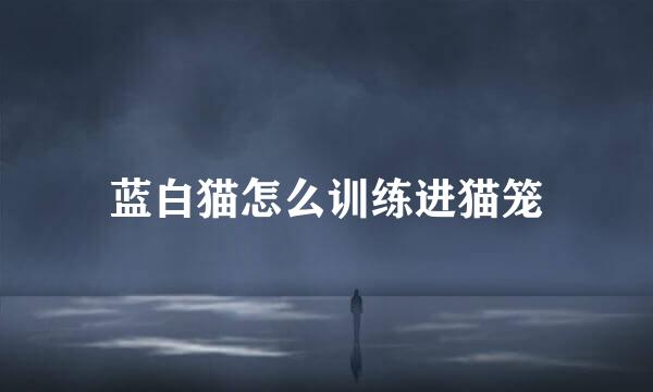 蓝白猫怎么训练进猫笼