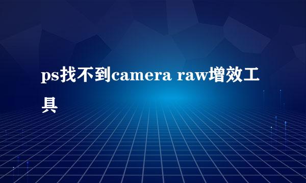 ps找不到camera raw增效工具
