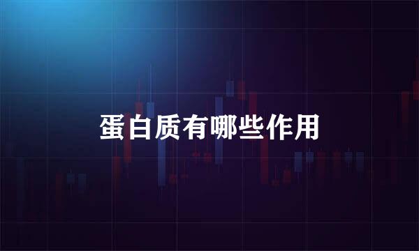 蛋白质有哪些作用
