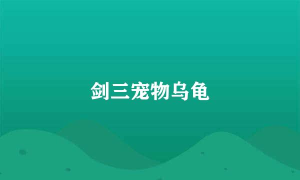 剑三宠物乌龟