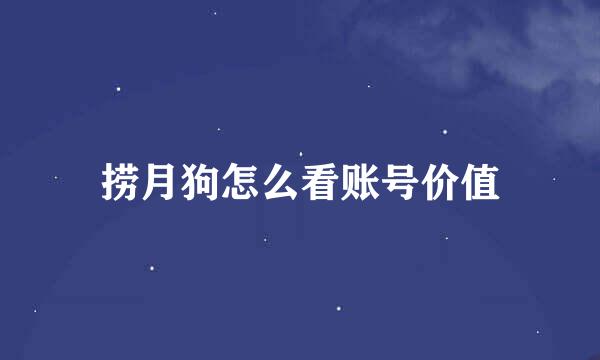 捞月狗怎么看账号价值