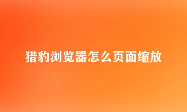 猎豹浏览器怎么页面缩放