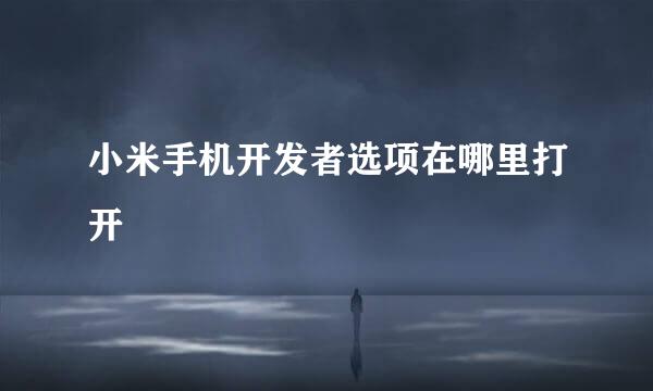 小米手机开发者选项在哪里打开