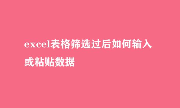excel表格筛选过后如何输入或粘贴数据