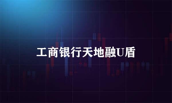 工商银行天地融U盾