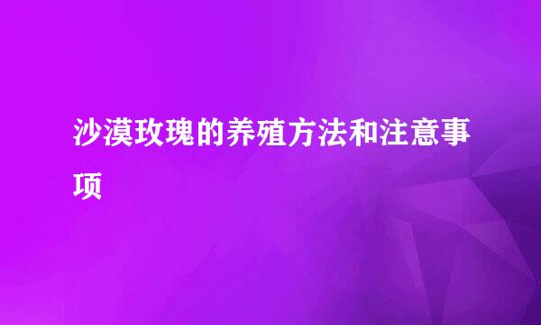 沙漠玫瑰的养殖方法和注意事项