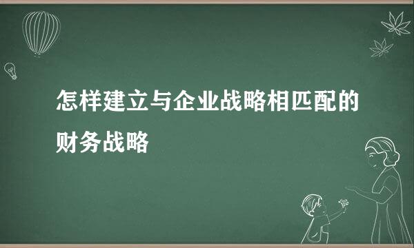怎样建立与企业战略相匹配的财务战略
