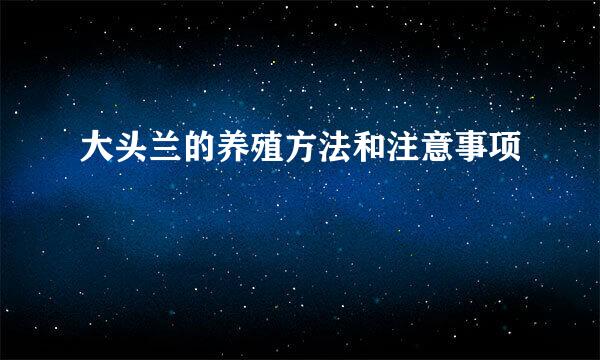 大头兰的养殖方法和注意事项
