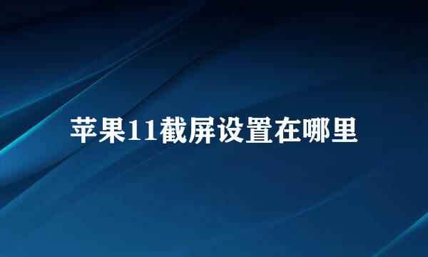 苹果11截屏设置在哪里