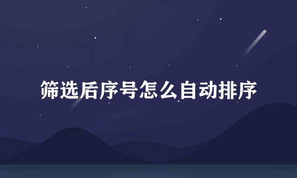 筛选后序号怎么自动排序
