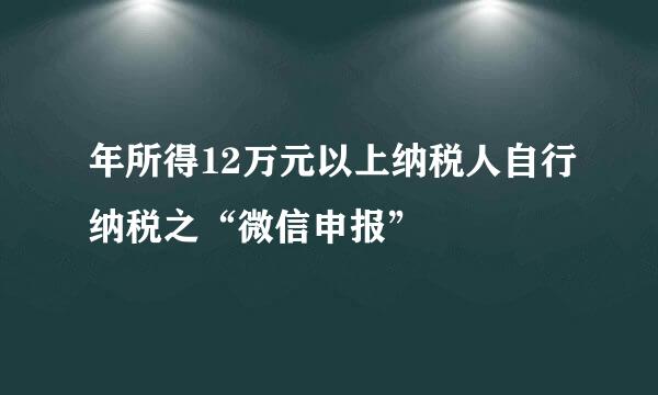 年所得12万元以上纳税人自行纳税之“微信申报”