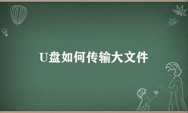 U盘如何传输大文件