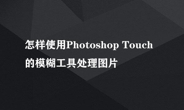 怎样使用Photoshop Touch的模糊工具处理图片