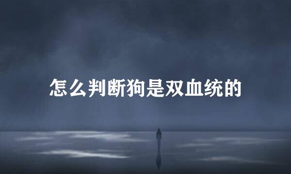 怎么判断狗是双血统的