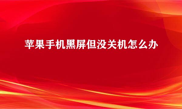 苹果手机黑屏但没关机怎么办