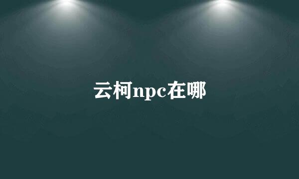 云柯npc在哪