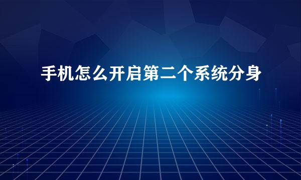 手机怎么开启第二个系统分身