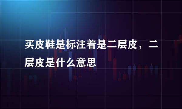买皮鞋是标注着是二层皮，二层皮是什么意思