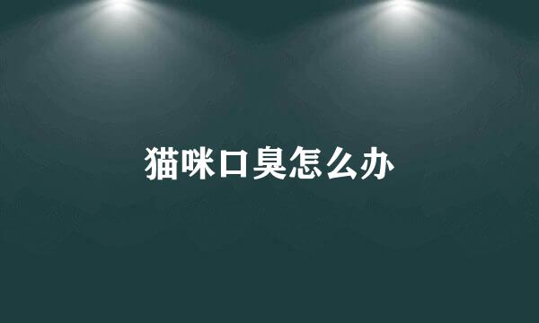 猫咪口臭怎么办