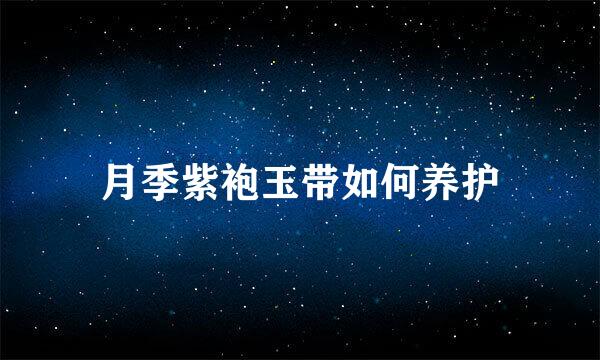 月季紫袍玉带如何养护