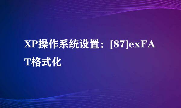 XP操作系统设置：[87]exFAT格式化