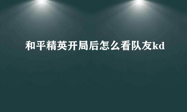和平精英开局后怎么看队友kd