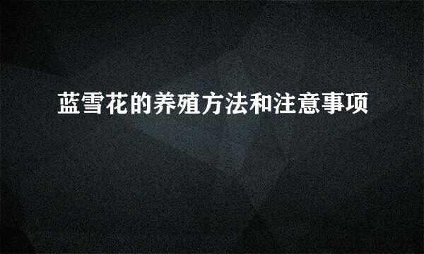 蓝雪花的养殖方法和注意事项