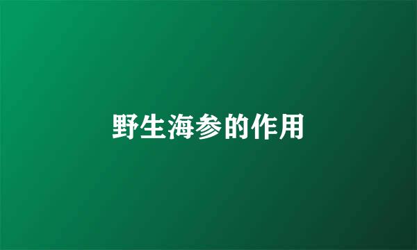 野生海参的作用