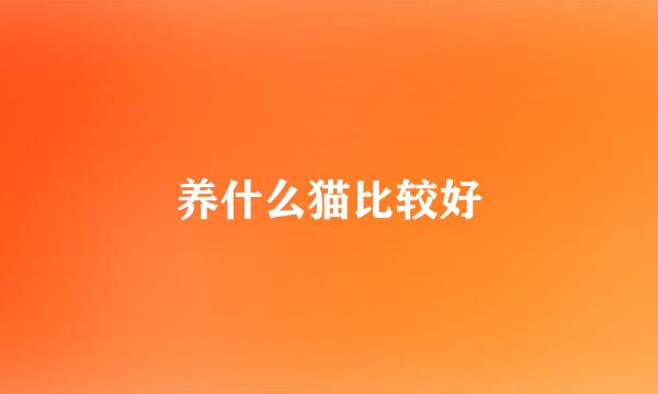 养什么猫比较好