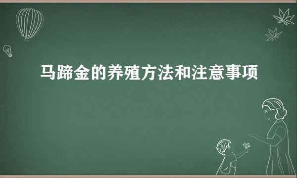 马蹄金的养殖方法和注意事项